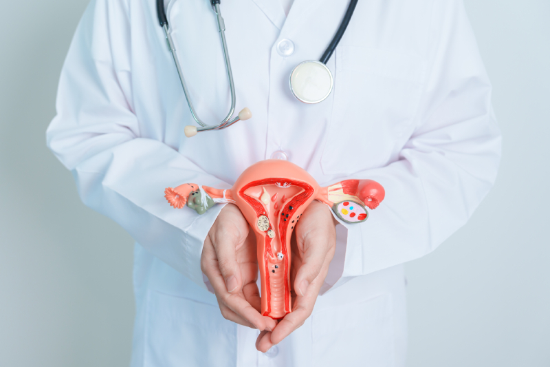 sao-leopoldo-mandic-faculdade-de-medicina-pos-graduaçao-medica-endocrinologia-feminina-conheça-essa-subespecialidade-da-endocrinologia